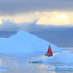 Der rote Segler in Ilulissat