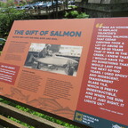 Married Man's Trail Ketchikan