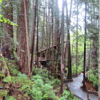 Capilano Suspension Bridge