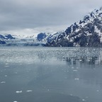 John Hopkins Inlet Glacier Bay Nationalpark