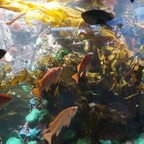 Vancouver Aquarium