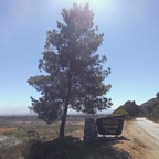 Allein auf weiter Flur