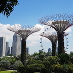 Singapur