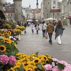 dann geht es weiter in die Altstadt von Tallinn