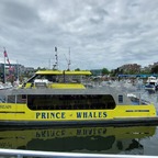 Whale Whatching mit Prince of Whales