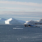 AIDAcara vor Ilulissat mit 2 Eisbergen woraus man die Cara "schnitzen" könnte