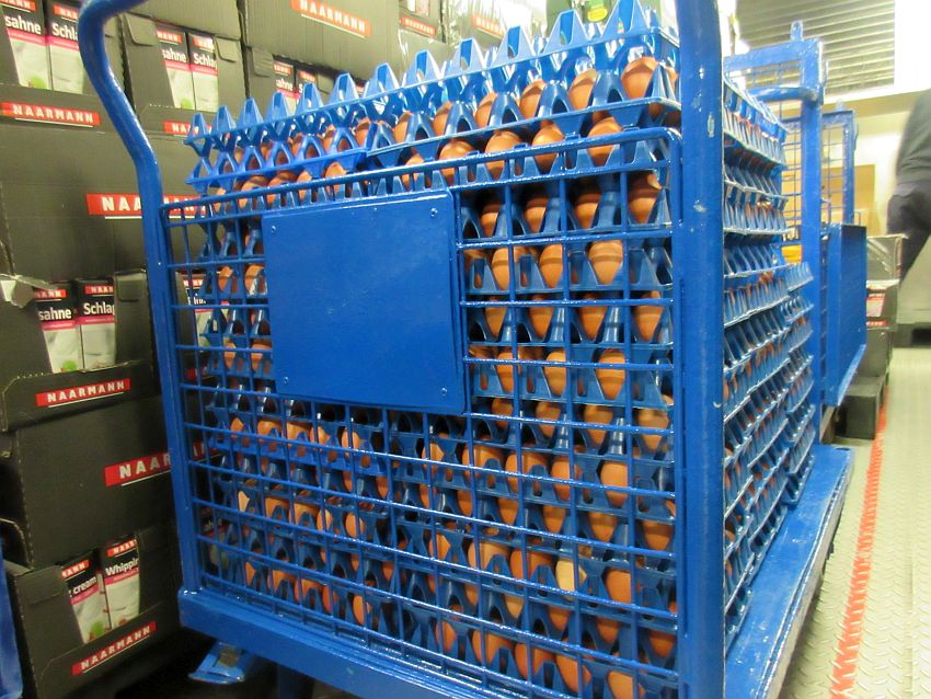 wasserurlaub Logbuch VIII: „Oriana“ lässt´s ordentlich stürmen ☼ Der