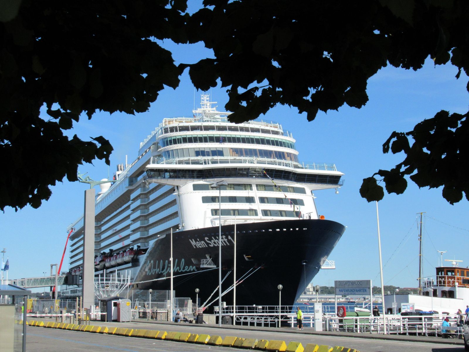 49079-img-0006-autoscaled-jpg